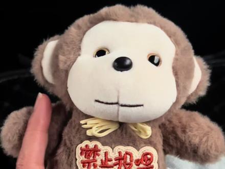 你们看看那是不是挂面?🤣 介小玩意儿太招人稀罕了 #天津动物园文创方言猴 #天津动物园 #真实生活分享官