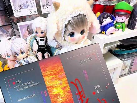 悬日实体书开箱 #悬日 #宁一宵苏洄 #实体书 #小说