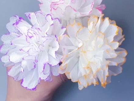 一张面巾纸就可以简单做出一朵康乃馨,不一样的礼物,学起来~##创意手工 #亲子手工 #创作灵感 #萌知计划 @抖音青少年