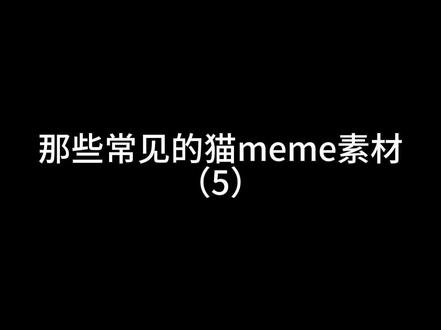 八格牙路和比比拉布来喽#猫meme #猫meme素材