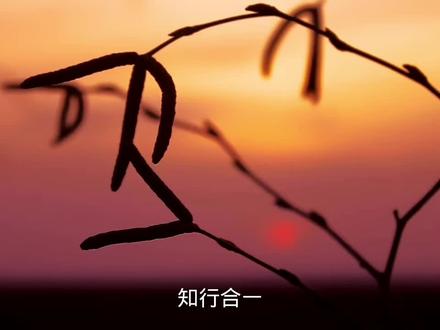 知行合一,言行一致
慎思之,笃行之
"知是行之始,行是知之成。"
-﹣王阳明
#读书分享 #中视频合作伙伴计划