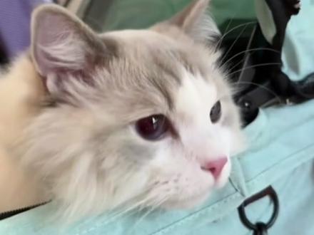 #赵露思 许妍快来#许妍 #许我耀眼 #赵露思许妍