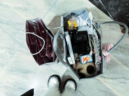 爱你 爱我 爱我们#时代少年团#六周年#追星#这就是爱#刘耀文