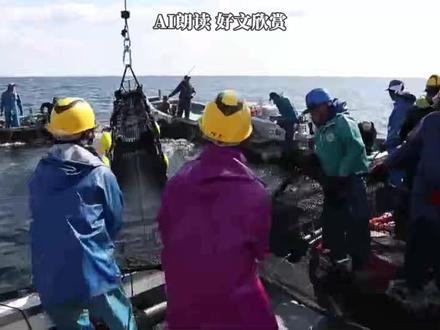 高市言论对日本旅游、电影、水产业的影响分析 #热点 #国际