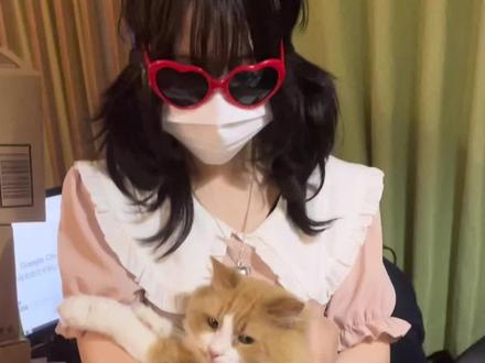 我看到大家去飞社长的视频底下评论送猫给我笑麻了,不过谢谢@飞社长