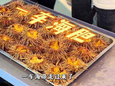 搁长春品类全乎到你不认识的高端自助有多爽 #海鲜自助 #自助餐的正确吃法 #长春美食探店 #美食vlog #海鲜自助吃到爽是什么体验