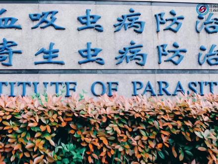 操作视频|粪便中蠕虫卵监测