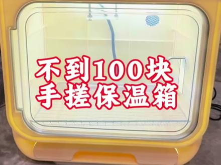 手搓保温箱 用了92块钱手搓了一个小保温箱#鹦鹉保温箱diy #鹦鹉#万物皆可粉嘟嘟#抖音商城粉嘟嘟节