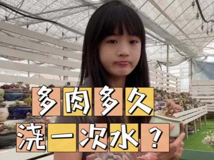 多肉多久浇一次水?#多肉植物 #多肉浇水 越热的天气越要少浇哦