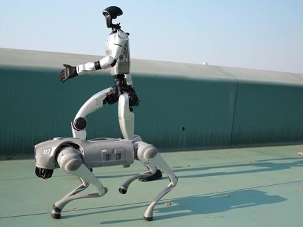 不到一部手机的价格就能拿下智能科技来替自己干活? #宇树#unitree#宇树机器狗#机器狗#宇树机器人