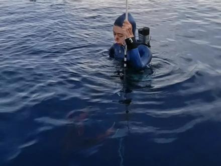 🌊自由潜深度赛|80米深度藏着大海的浪漫 注:专业比赛,请勿模仿
今天带大家沉浸式感受我的深海心跳时刻💓
这画面定格在24年亚洲杯80米双蹼下潜的瞬间,
虽然下个比赛日就以84米再次刷新了中国香港地区纪录,
但这一潜却像刻进dna的深海记忆。
因为这是22年夏天初学自由潜时我仰望的,
也是23年世锦赛“见了世面”后所追寻的。
曾以为这会是我的极限,触达的那一刻才明白:
原来所谓终点,都是新的起跑线。
2025年平衡学业、工作、训练和比赛,
夹缝时间中很难挤出完整的训练周期,
但深海教过我:
不尽全力试试,永远不知道自己的潜力有多大!
愿未来的每一潜都带着80米的炽热和初心,
继续做敢与深蓝对话的人勇者🌊
感谢你看到这里🥰
主办方:@SUPERHOME自由潜水
部分视频片段:@Ryan是个摄影狮
赛季教练:Vincent Mathieu、華陽
#潜水 #极限运动 #大海 #竞技体育 #运动