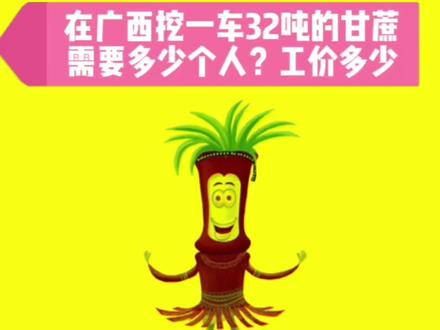 在广西挖一车32吨的黑皮甘蔗,需要多少个工人,看看广西甘蔗代办怎么说!