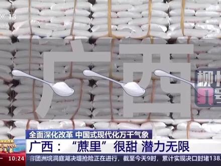 #央视 《新闻直播间》聚焦广西人的科目四→砍甘蔗!“蔗里”很甜,潜力无限~#甘蔗 #广西dou知道