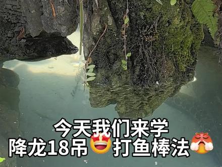 哦,不不不不不,我无疑是愤怒的😤 #钓鱼方法分享 #钓鱼基础教学 #楚新钓 #降鱼十八钓 #钓鱼佬