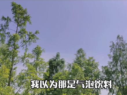 有些cv大大,录着录着,就成一对了。 #漫播 #