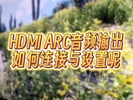 【有点叽巧】直通?回传?有手就能会的音响ARC连接小教程来啦!
