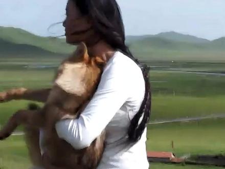 狼王格林居然已经死了,而且死在了一个它本不该出现的地方,看完令人泪目,生命有归处,爱意有回响,我们会永远记得格林的温柔与倔强!#格林 #李微漪 #重返狼群 #万物皆有灵性