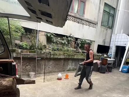 伐木支架制作#柴火炉