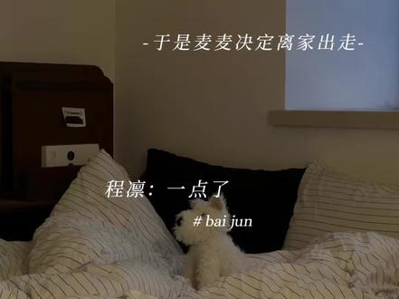 偷猫不成捉到一只偷玩手机的麦麦#于是麦麦决定离家出走