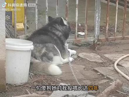 对它们都好一点吧,它们真的爱你!!!