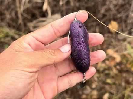 黑鱼看见这饵不得连夜搬家#黄毛玩雷强