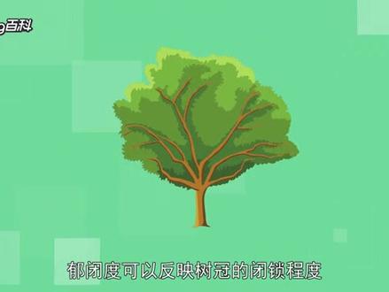 #高考地理 郁闭度指森林中乔木树冠在阳光直射下在地面的总投影面积(冠幅)与此林地(林分)总面积的比,它反映林分的密度。最近多套模拟试题都在考郁闭度 视频来自百度百科