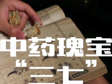 #抖音科普 带你了解文山三七#名贵中药材 #抖音热点宝 @文山三七姑娘@非常文山 #我为家乡特产代言