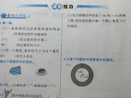 数学六年级上册课时练第58页(2022)