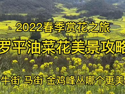 2022春季赏花之旅及攻略,第一站我又来到罗平看油菜花,只因太美 #最美乡村风景 #油菜花开季 #旅行推荐官