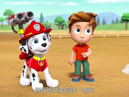 第三季019集,第一部分上篇 #汪汪队立大功