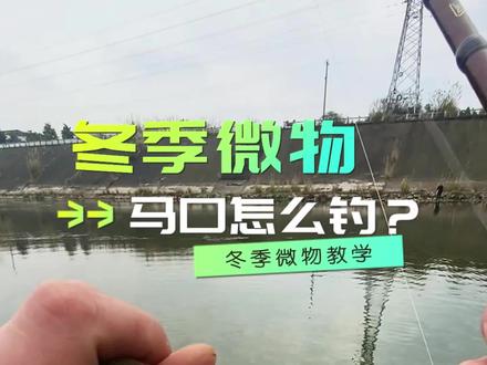 冬季微物路亚-马口怎么钓#钓鱼 #路亚 #路亚教学 #在川之鱼 #在冬日阳光下钓个鱼吧 @抖音小助手