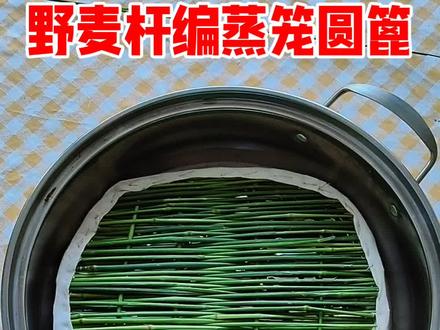 野麦杆编蒸锅垫 草编
🌿这蒸垫绝了!野麦杆编的自带草木香🍃包子馒头再也不粘底~传统手艺yyds!@巨量引擎小助手 @抖音小助手 @DOU+小助手 @彩虹手工编织