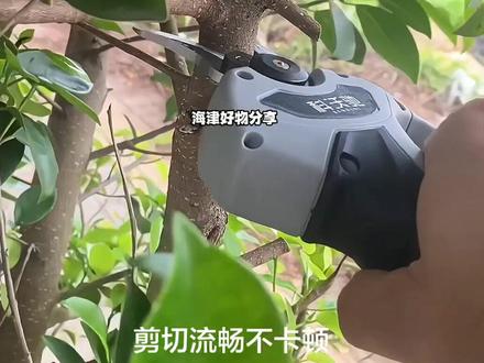 德国科沃驰电动修枝剪轻便果树剪无线锂电池电动枝剪刀强力树枝剪#修枝剪#园林绿化 #五金工具 #高性能实用工具