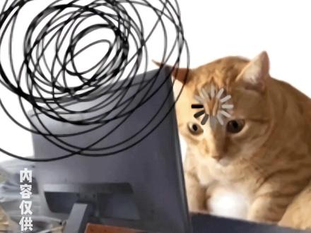 以后再也不说别人是大神了 因为真正的神出现了 #万万没想到 #艾利克斯・霍诺德 #极限运动 #台北101 #攀岩