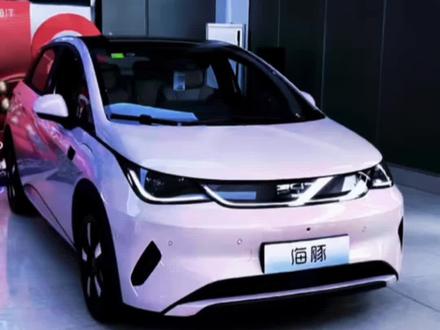 #比亚迪海豚 2026款比亚迪海豚年底最新落地参考及配置介绍#汽车报价 #抖音汽车 #dou是好车 #汽车人共创计划