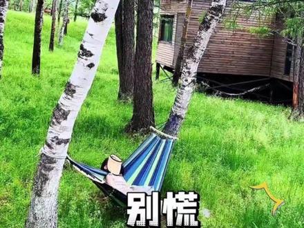 厄尔尼诺导致今年夏天热到破纪录?别慌来草原躲高温 #厄尔尼诺 #内蒙古旅游专列 #避暑大作战 #抖音夏日推荐官