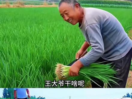 山东人都是不知火舞 #不知火舞山东话 #即梦ai #我的AI分身杀疯了 #AI分身戏精大赛 #当不知火舞遇到方言 山东人模仿不知火舞 俺滴 刚拔地 不知火舞二创大赛 噶韭菜 不知火舞台词原版 山东话割韭菜梗 不知火舞山东话配音 不知火舞台词为什么火了 不知火舞山东话视频怎么做