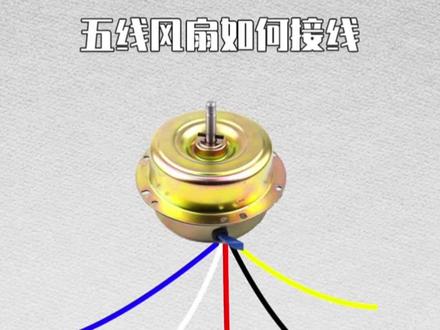 家电维修技巧之电风扇电机接线方法#科技 #技术
