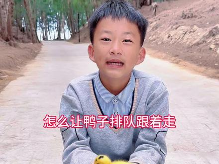 怎么让鸭子排队跟着走 还是有很多人不懂怎么让鸭子排队跟着走,再给你们出一个教程视频,学起来吧! #可爱的小鸭子 #鸭司令 #遛鸭子的小男孩 #童年的快乐就这么简单