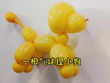 长条气球小狗,贵宾犬来喽#气球教程 #这也太可爱了吧 #手工diy #创意手工 #气球🎈
