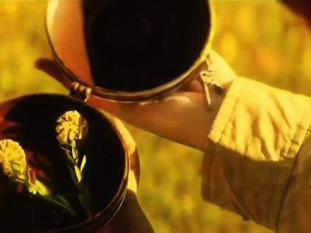 田曦薇真的好美呀!声音极具感染力,娓娓道来的感觉,很有故事感,这段语录非常的治愈。我也来配一下吧。 #配音 #配音秀 #那年在康定 #田曦薇