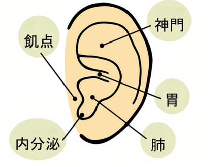 耳朵怎么会有密码,耳轮细代表什么,耳朵能看出一个人的性格吗?
#耳穴 #传统文化 #耳穴望诊#神奇的耳朵#传承中医文化