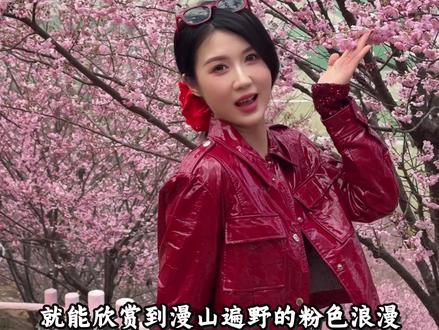 这个春天一定要去一趟瑞安樱花谷#瑞安樱花谷 #樱花谷 #樱花 #瑞安桐浦凤凰谷樱花园 #温州樱花
