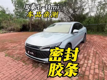 比亚迪风燥大解决的方法,秦Ldmi全车密封条安装教程#比亚迪 #比亚迪密封条 #密封条 #秦Ldmi #比亚迪风燥