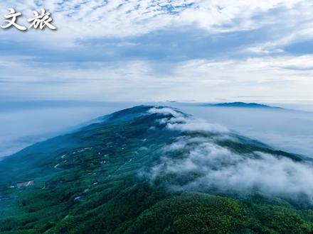 其实文旅宣传,我说白了...#雄奇山水新韵重庆 #抽象 #废话文学 #我说白了