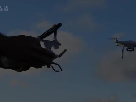 近百头领航鲸集体搁浅,史上首次完整视频记录! #领航鲸 #虎鲸 #海洋生物