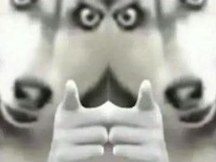 爆破流盖伦VS老塔姆 野区给他刷秃噜皮了#爆破流盖伦