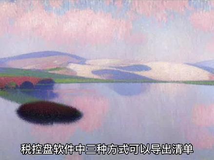 #知识分享 #抖音小助手 #三月第一天 税控盘明细表导出三种方式。