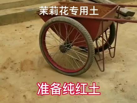#农业种植 #养花土壤 #营养土配法 #养花营养土 茉莉花专用土