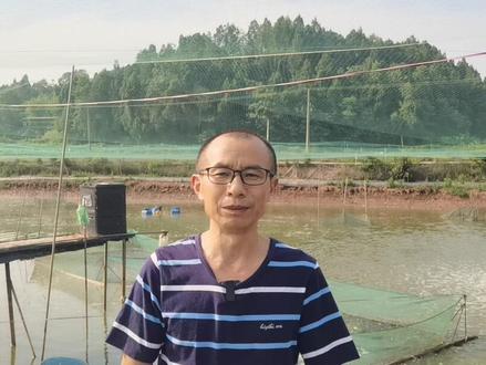 #泥鳅 高温来袭,养泥鳅要这样做!#泥鳅养殖 #新农人计划2023 #农村创业养殖